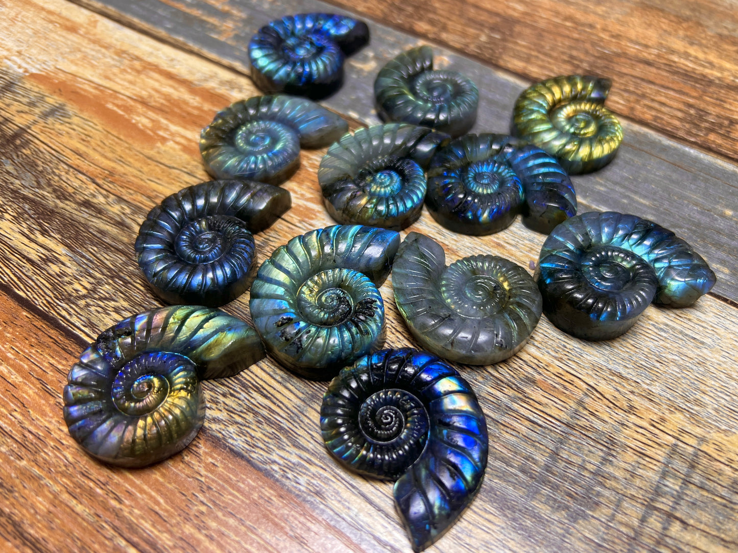 Laradorite ammonite carving